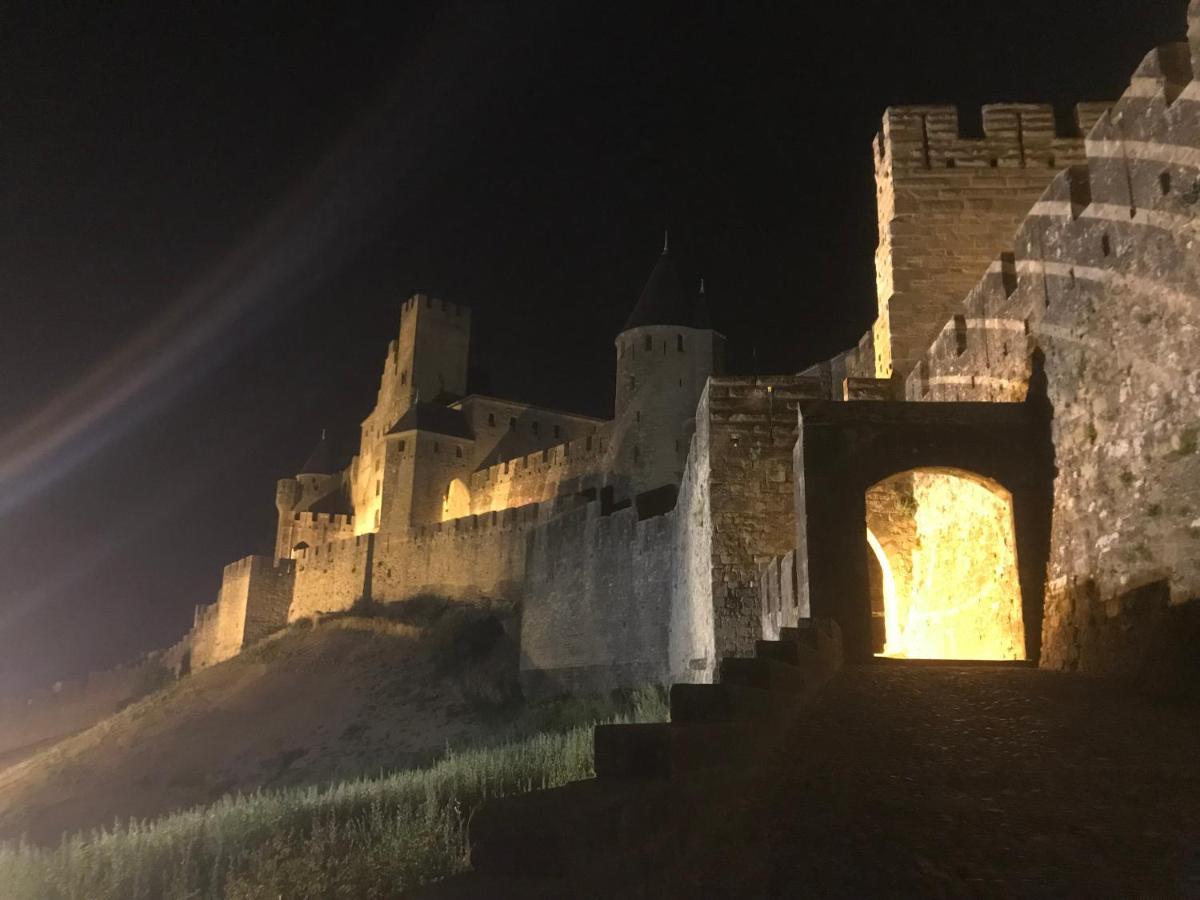 Le Clos Saint Michel Carcassonne Exteriér fotografie