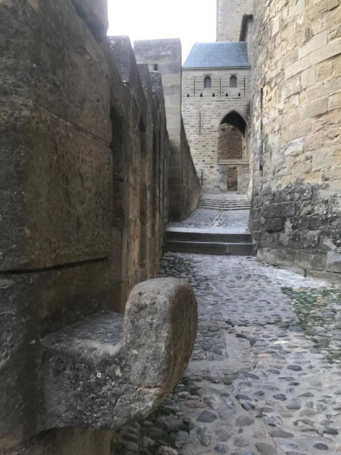 Le Clos Saint Michel Carcassonne Exteriér fotografie